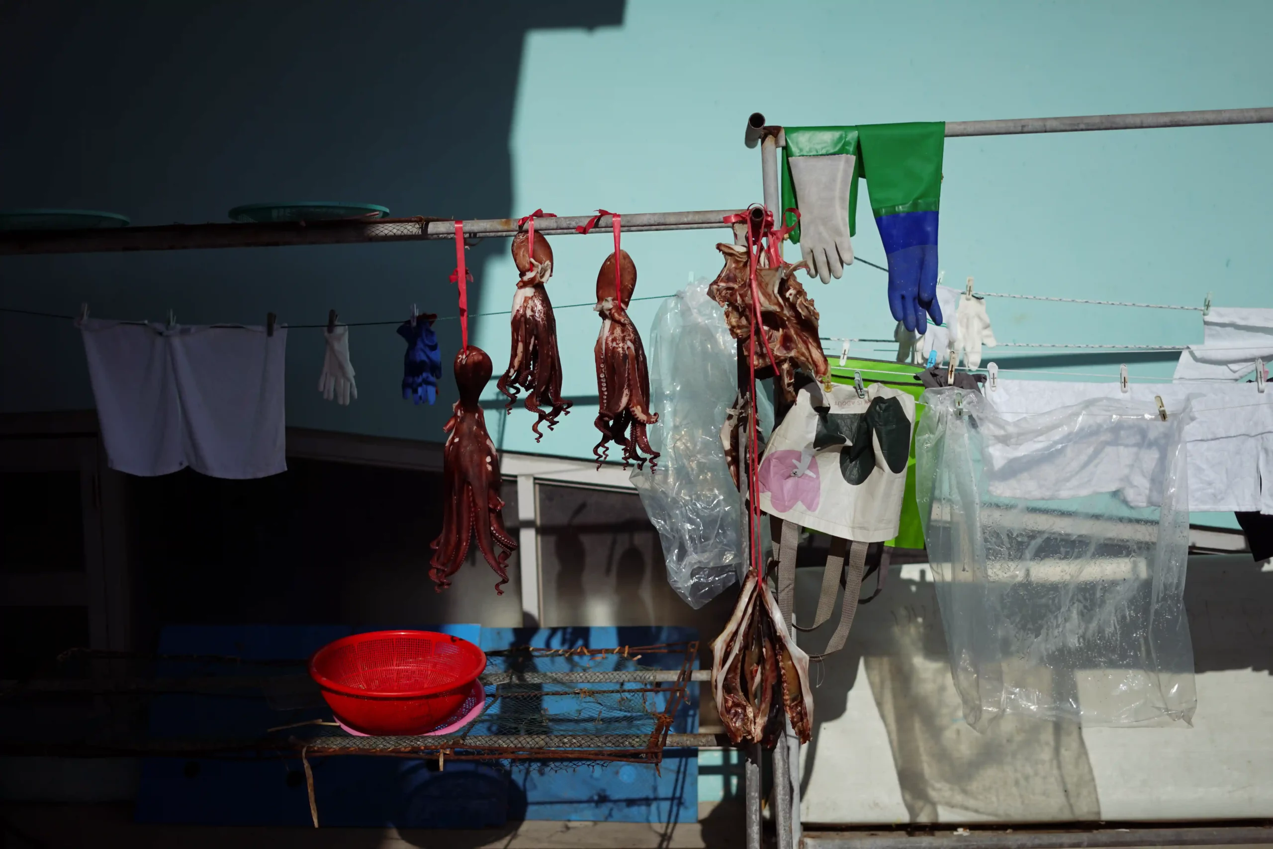 Fish and ships in Sokcho, South Korea,